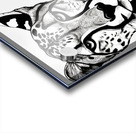 Alert. Line Art. Acrylic print