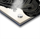 Black Stallion  Acrylic print