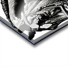 Emilie - Show Horse Acrylic print