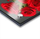 Vase of Love - Part 3 *Limited Edition* Acrylic print