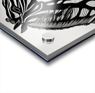 Jackson. Black Stallion. Acrylic print