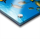 School of Fish.  Acrylic print