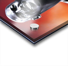 Michael Jordan  - The Mastermind Acrylic print