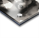 Silhouette of Strength Collection 1 - The Artful Mane 57 Acrylic print