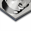 Silhouette of Strength Collection 1 - The Artful Mane 64 Acrylic print