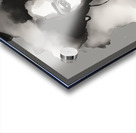 Silhouette of Strength Collection 1 - The Artful Mane 67 Acrylic print