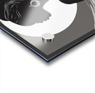 Silhouette of Strength Collection 2 - The Artful Mane 8 Acrylic print