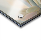 A Touch of Color 2: Celebrating Hue at The Artful Mane 17 Acrylic print