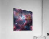 TAME Gallery 1 2  Acrylic Print
