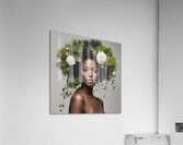 TAME Gallery 1 3  Acrylic Print