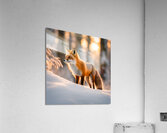 Winter Wonderland & Christmas Celebration 17  Acrylic Print