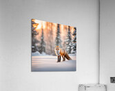Winter Wonderland & Christmas Celebration 22  Acrylic Print