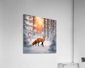 Winter Wonderland & Christmas Celebration 37  Acrylic Print