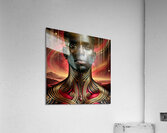 MELONATED AVATARS COLLECTION 2 13  Acrylic Print