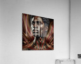 MELONATED AVATARS COLLECTION 2 17  Acrylic Print