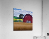 Farm Life 4  Acrylic Print