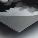 Silhouette of Strength Collection 1 - The Artful Mane 49 Metal print