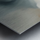 A Touch of Color: Celebrating Hue at The Artful Mane 9 Metal print