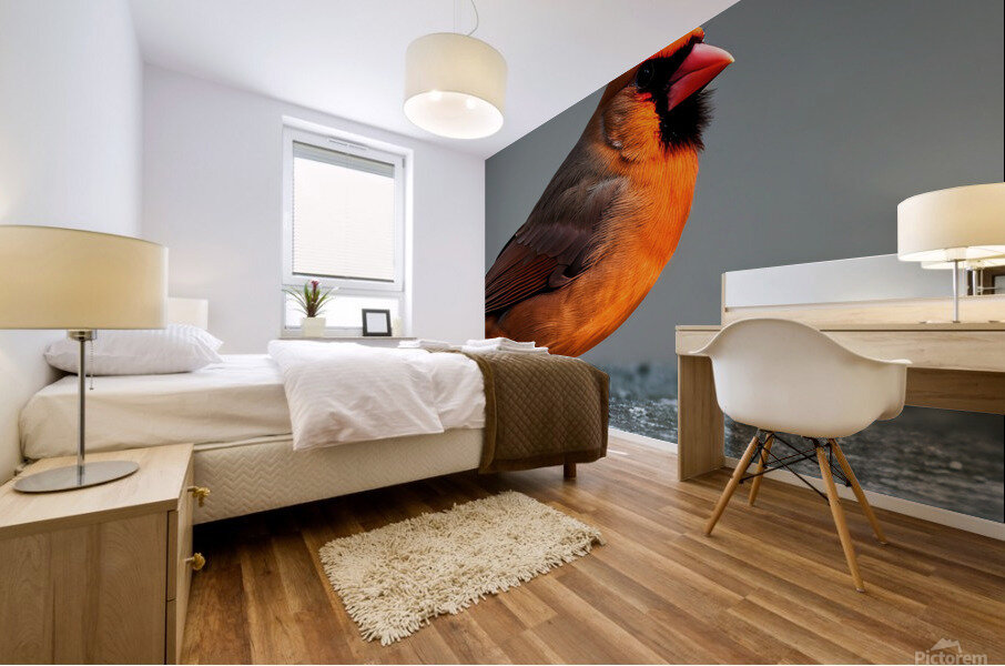 Introspective. Mural print