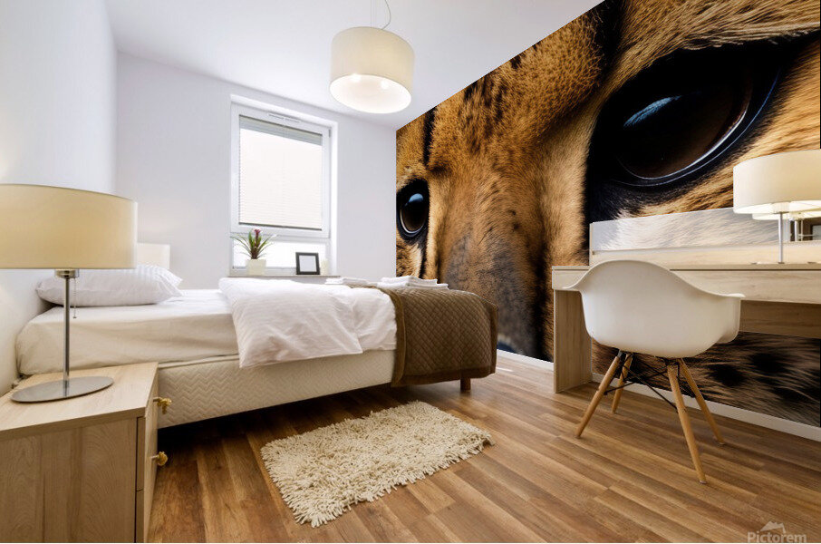 Cheetah Eyes Mural print