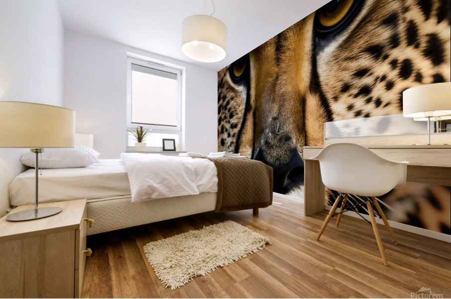 The Approach. Tiger. Mural print