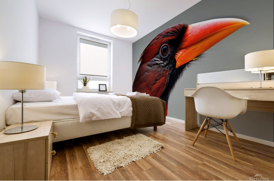 The Gaze. Cardinal. Mural print