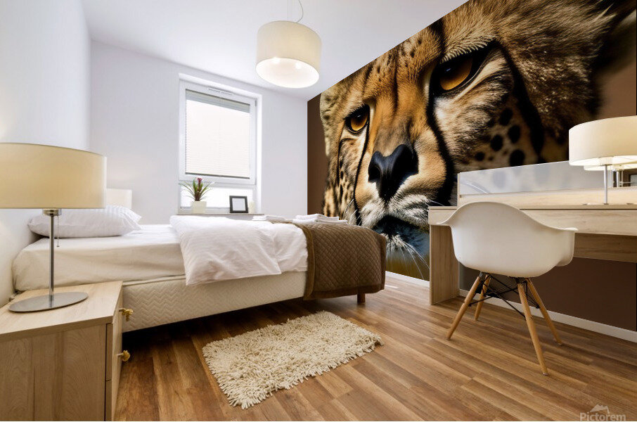 Intentional. Cheetah.  Mural print