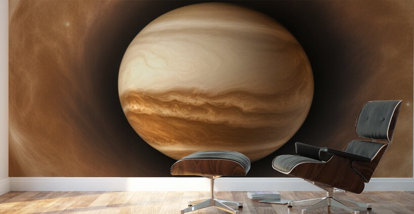 TAME Gallery 1 21 Wall Murals