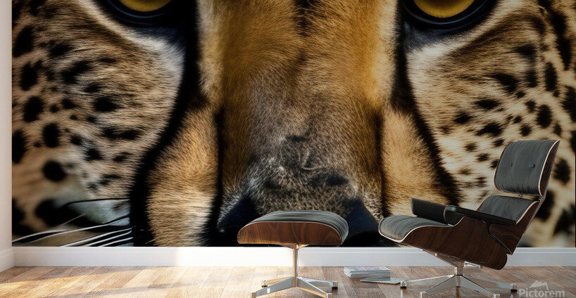 The Approach. Tiger. Wall Murals