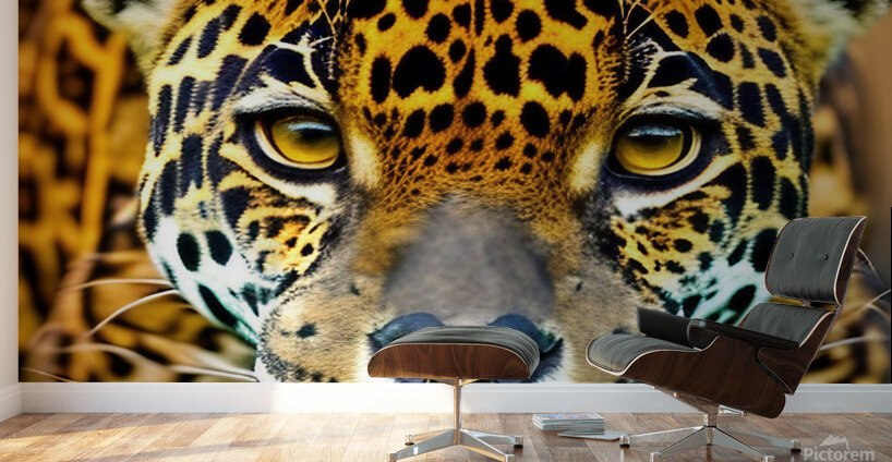 Moment of Clarity.  Wall Murals