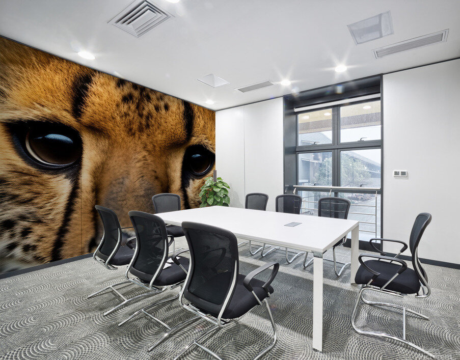 Cheetah Eyes Wall Printing