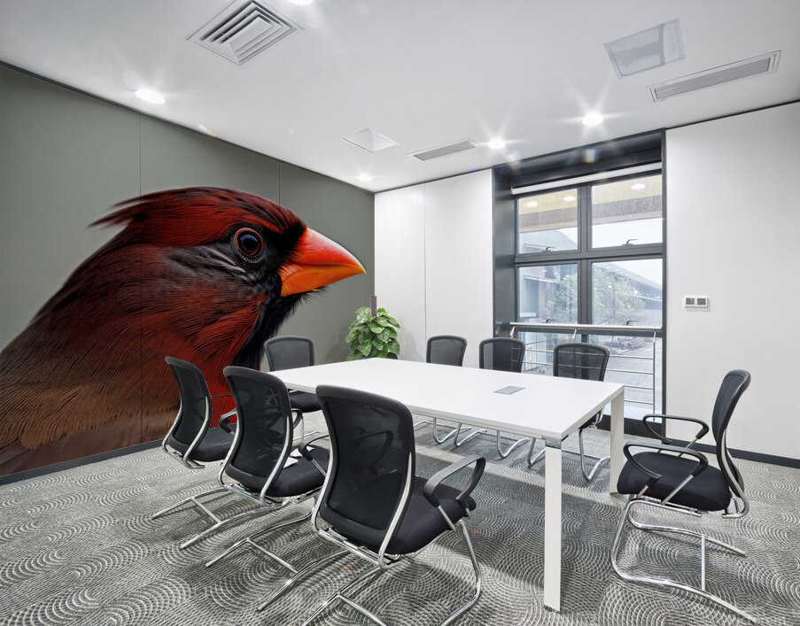 The Gaze. Cardinal. Wall Printing