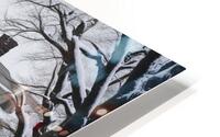 Winter Wonderland & Christmas Celebration 26 HD Metal print