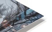 Winter Wonderland & Christmas Celebration 40 HD Metal print