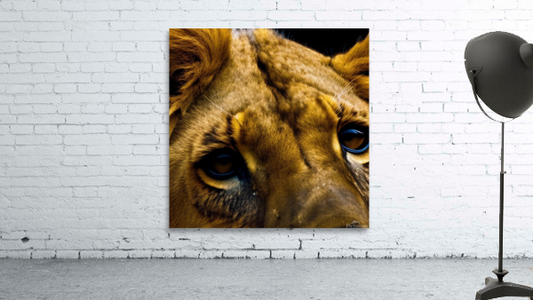 Focused. Eyes. Wall Preview