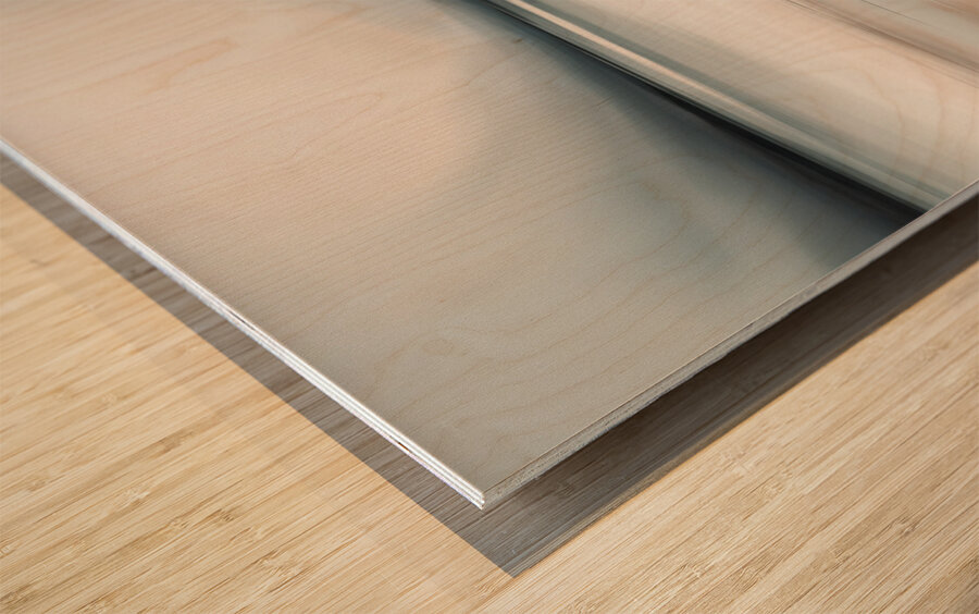 A Touch of Color: Celebrating Hue at The Artful Mane 2 Wood print