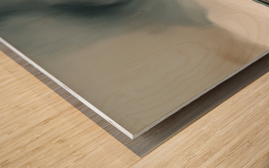 A Touch of Color: Celebrating Hue at The Artful Mane 9 Wood print